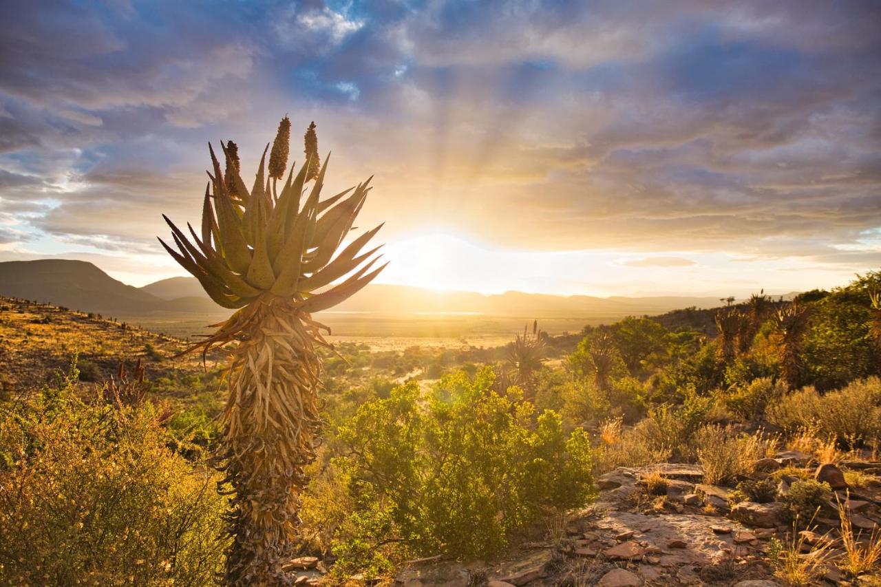 Ironstone Cottage Graaff-Reinet Dış mekan fotoğraf